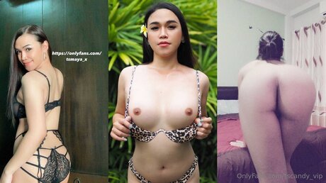 Tscandy Vip star erotic galleries