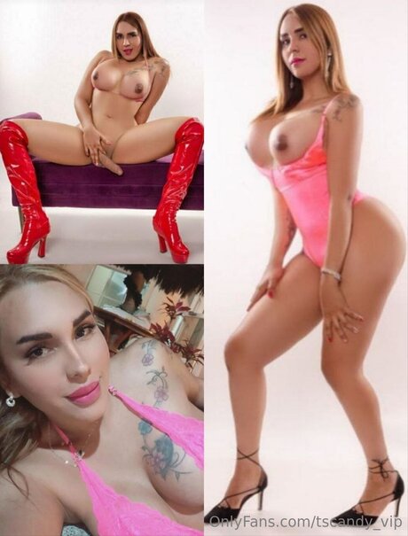 Tscandy Vip xxx model photo