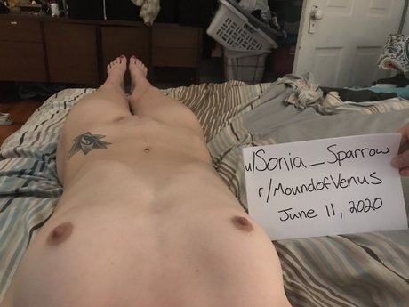 Sonia sparrow perfect star gallery