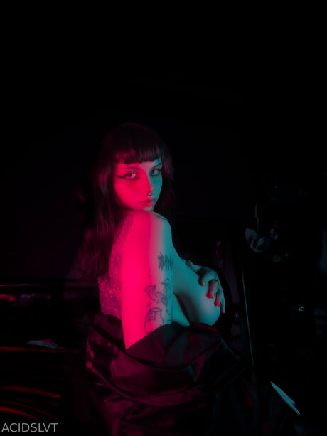 Acidslvt perfect model img