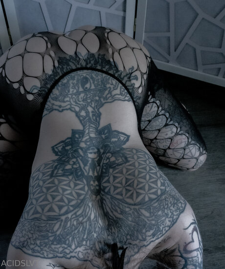 Acidslvt pornstar hd pics