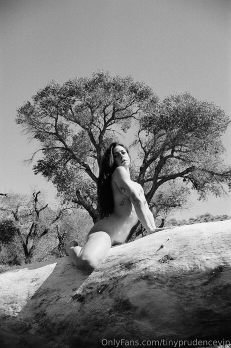 Tinyprudencevip erotic model img