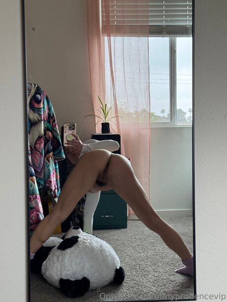 Tinyprudencevip adult model archive