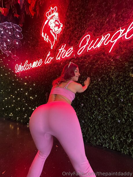 Thepaintdaddy model pretty pictures