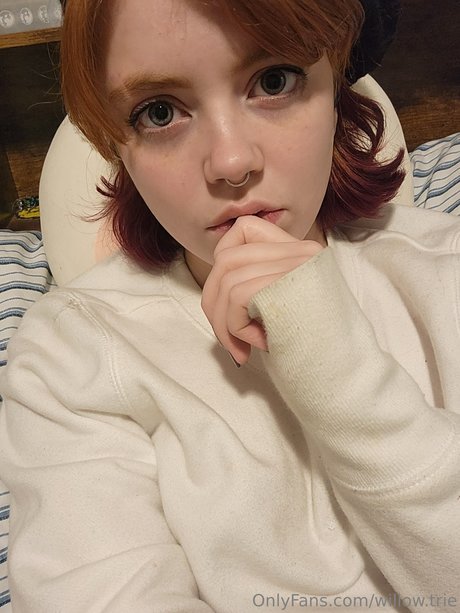 Willow Trie pornographic actress pictures