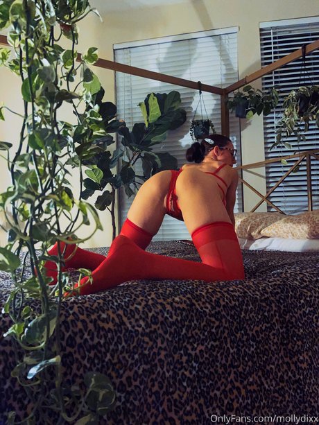 Molly Dixx star nude pics