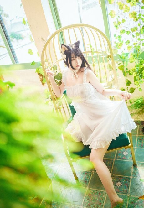 Raku star perfect archive