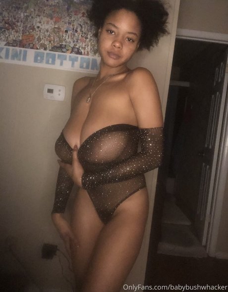 Babybushwhacker hd pornstar gallery