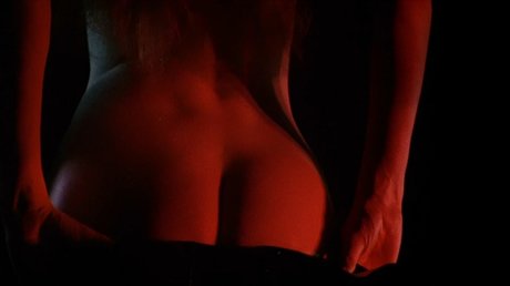 Jane Birkin model pornographic pic