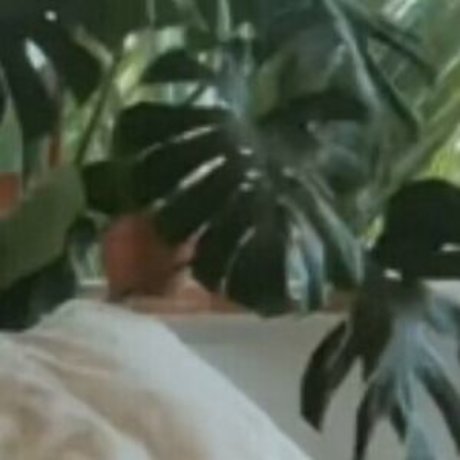 Estelleonline exclusive pornstar img