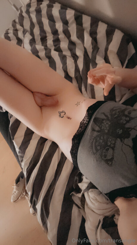 Transangie pretty pornstar image