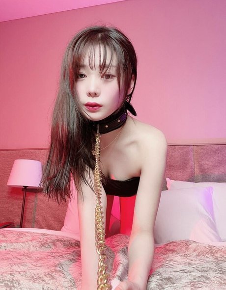 Wuyo99 star galleries