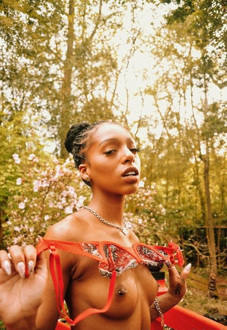 Briabackwoods high quality model picture