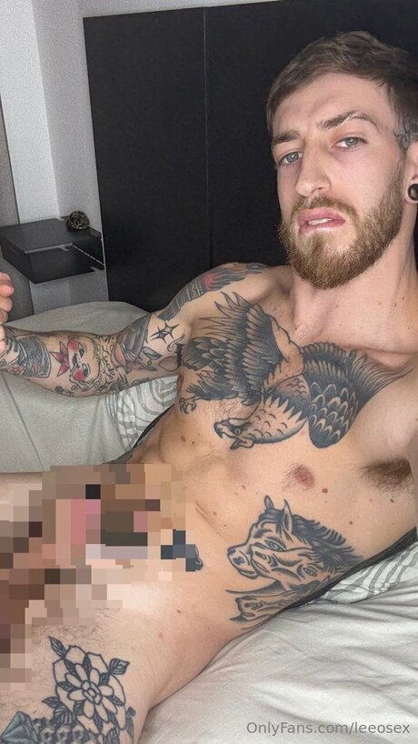 Leeosex profile image