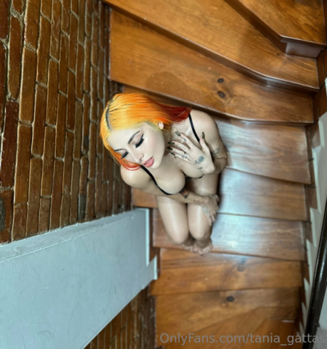 Tania Gattas top profile image