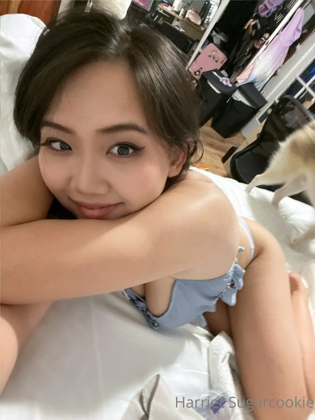 Harriet Sugarcookie model hd pictures