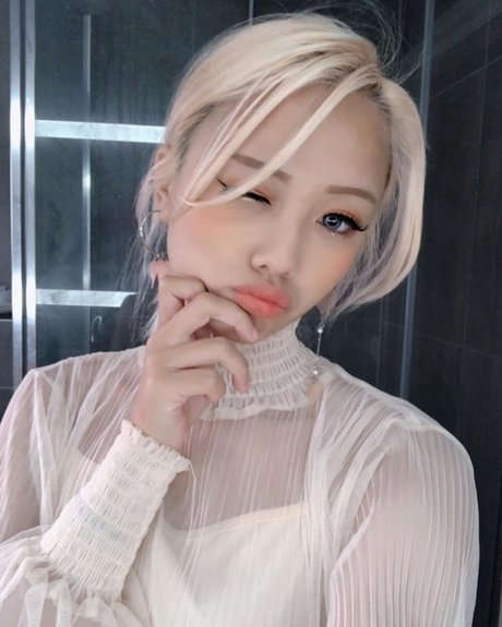 Vyvan Le top star picture