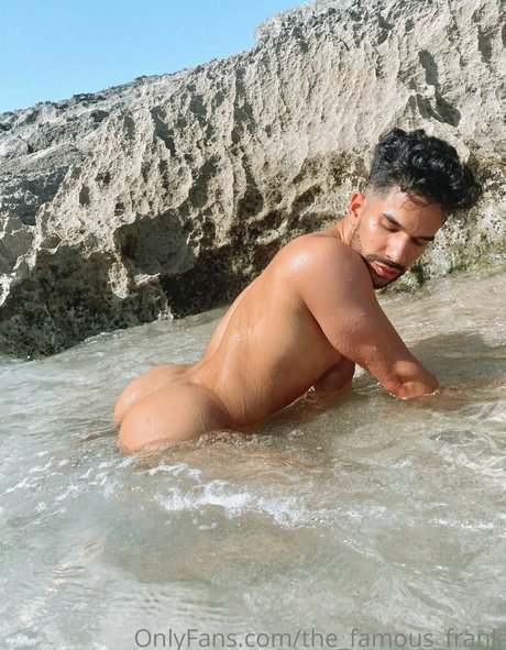 the famous frank star exclusive galleries