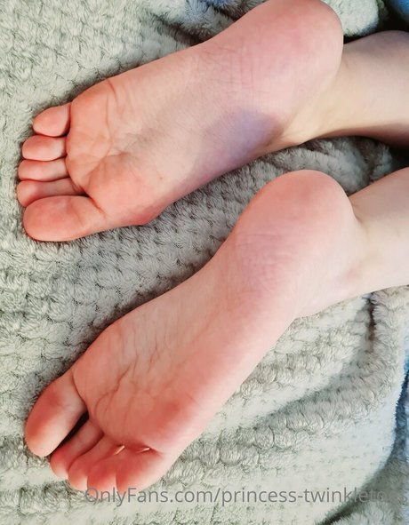 princess twinkletoes free model archive