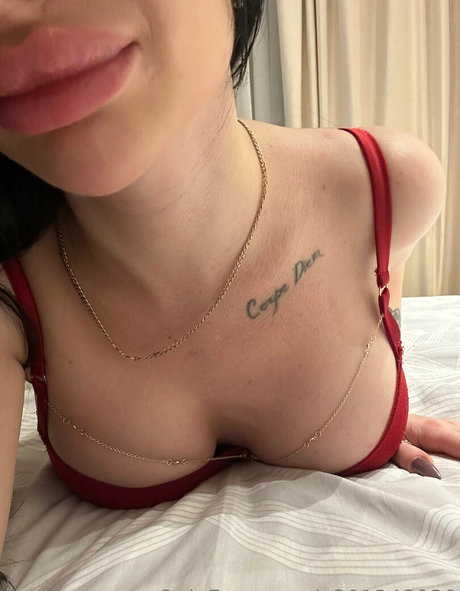 dani dreamme free star images