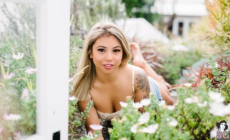 suicidegirls star hd galleries