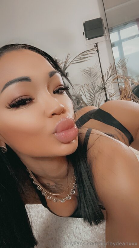 Harleydeanxxx art star galleries