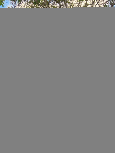 bbc interracial onlyfans art porn photo