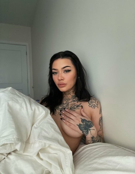 Locallystupid free pornstar pictures