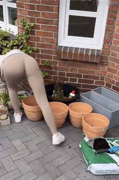 Julia Schulze xxx star pictures