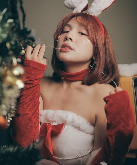 s w p best model pics