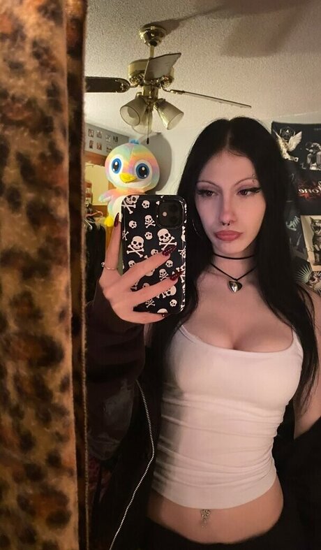 Cynniiexo star adult img
