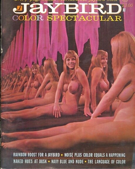 Classic Porn Magazines model hd archive