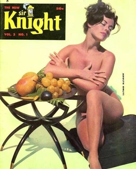 Classic Porn Magazines pornstar sexy img