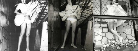Vintage Sexy Celebs model naked pic