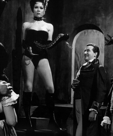 Vintage Sexy Celebs star art image