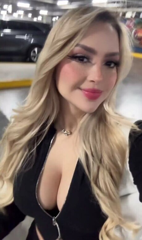 AriGameplays best model img