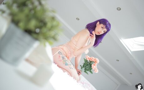 Harefuyuu star xxx photo