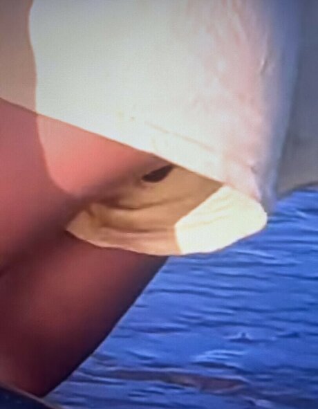 Sailing The Far Side model porn pics