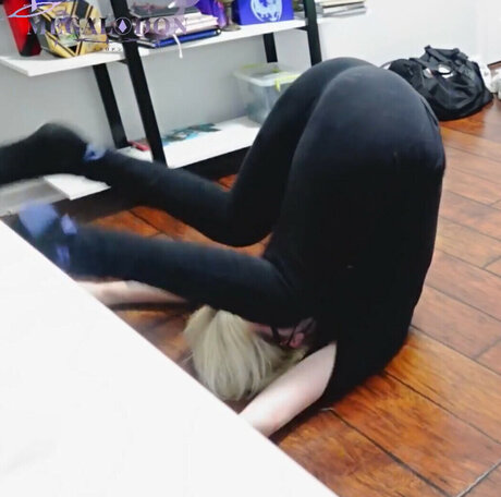 MegalodonVT best pornstar images