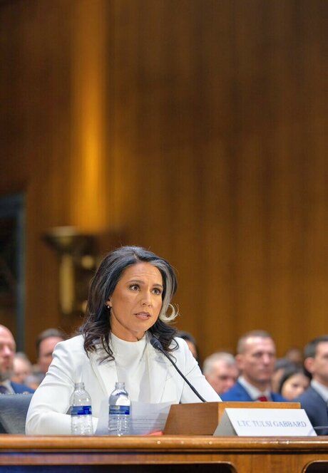 Tulsi Gabbard model pornographic image