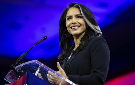 Tulsi Gabbard model pornographic archive
