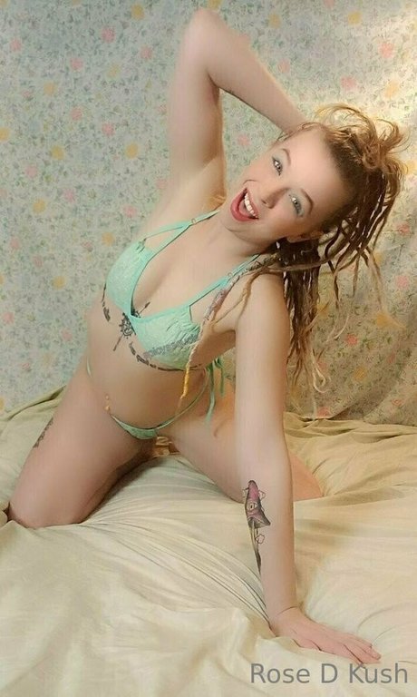 rose d kush art star pictures