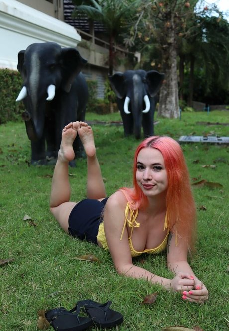 Fairy Elfie nudes pornstar img
