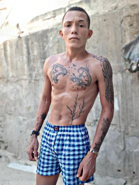 Erasmo Sanchez Hernandez porn star img