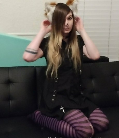 silentfoxowo pretty pornstar image