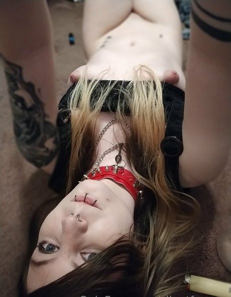 silentfoxowo naked pornstar pic