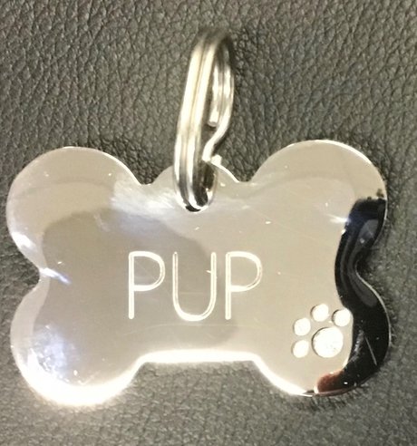 Pup sex model galleries