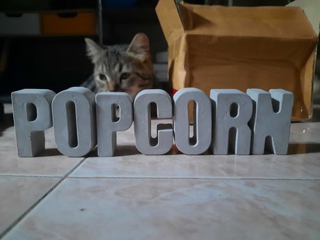 Popcorn model art pics