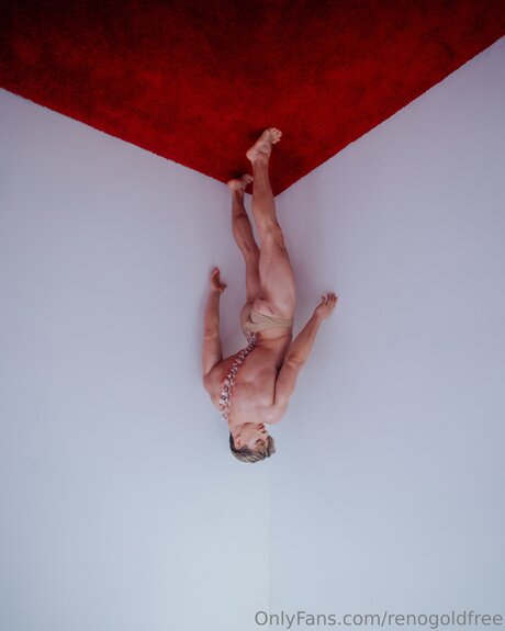 renogoldfree sex model photo