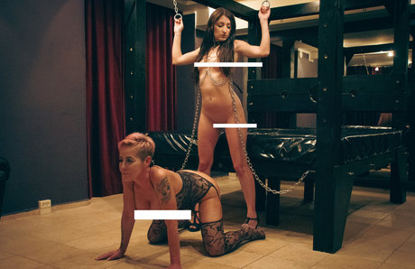 upperfloor star pornographic photos